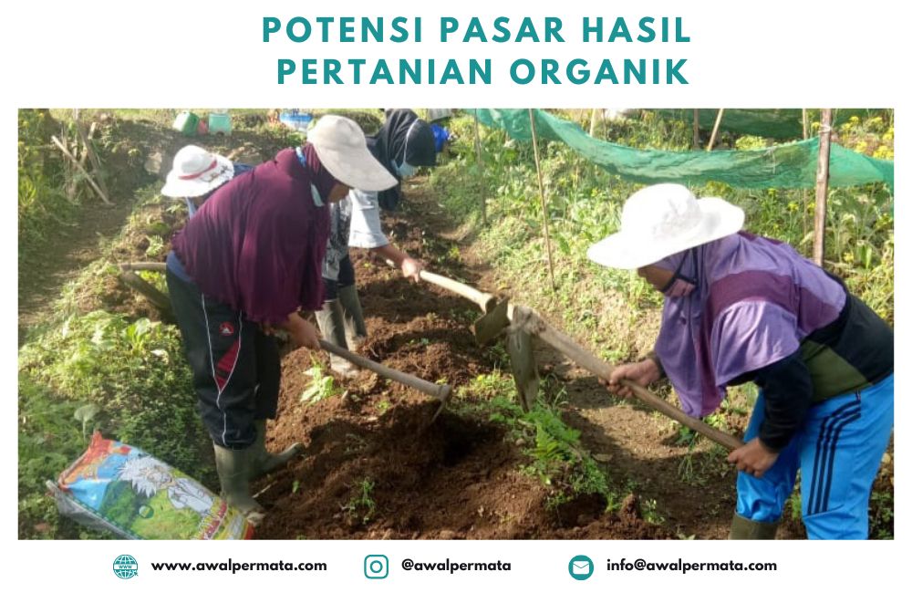 Meningkatnya Potensi Pertanian Organik