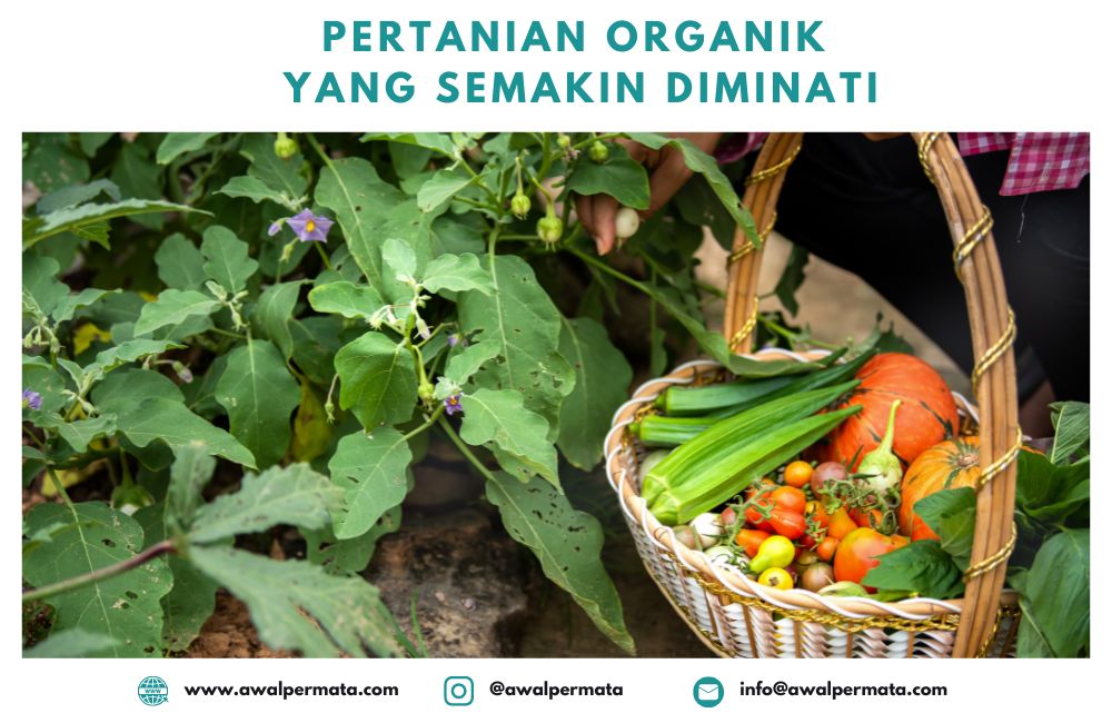 Meningkatnya Potensi Pertanian Organik