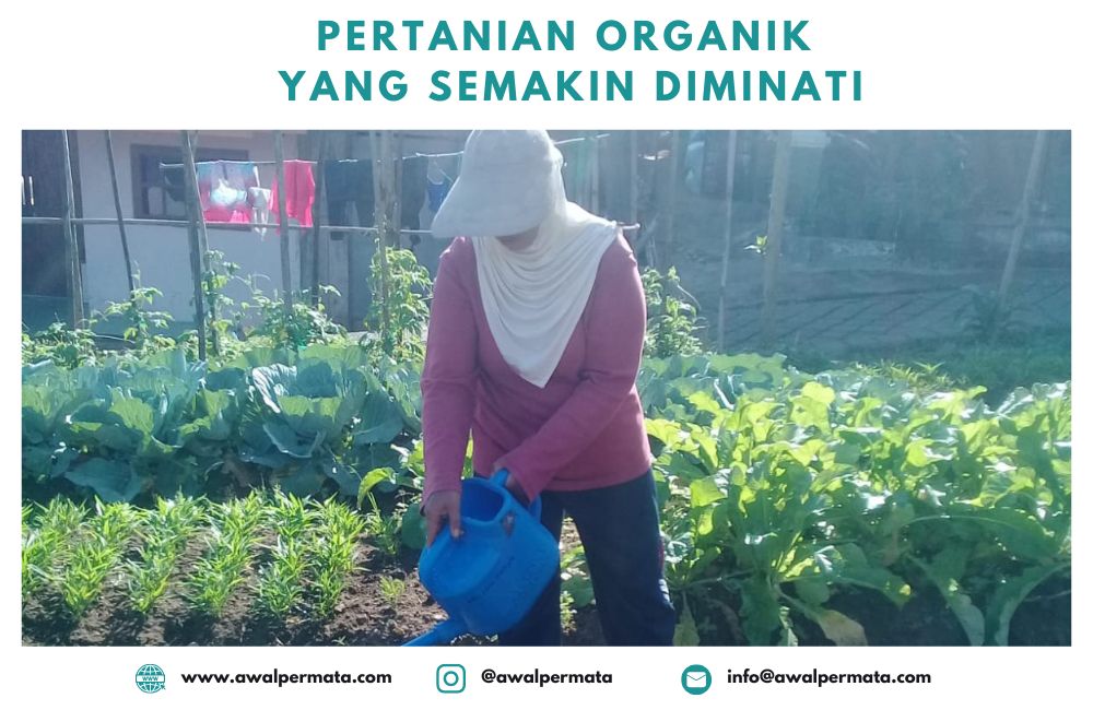 Meningkatnya Potensi Pertanian Organik