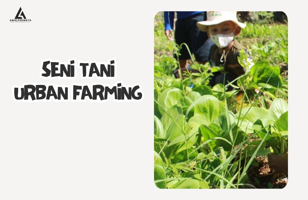 Peran Serta Anak Muda Dalam Perkembangan Urban Farming