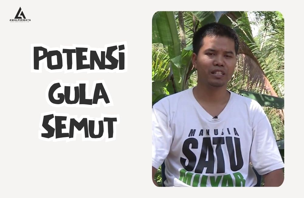 Potensi Pasar Gula Semut Yang Terus Bekembang