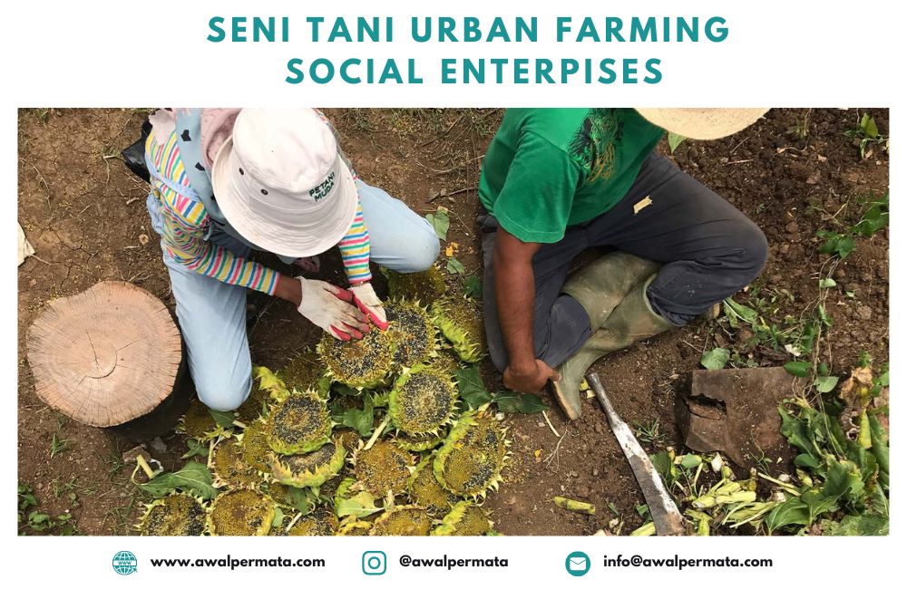 Seni Tani Urban Farming Dengan Advance Payment