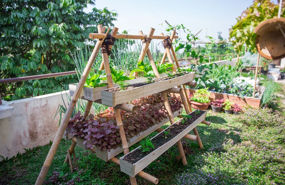 Seni Tani Urban Farming Dengan Advance Payment