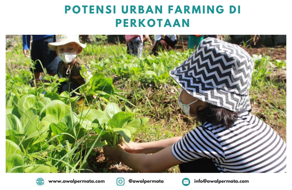 Seni Tani Urban Farming Dengan Advance Payment